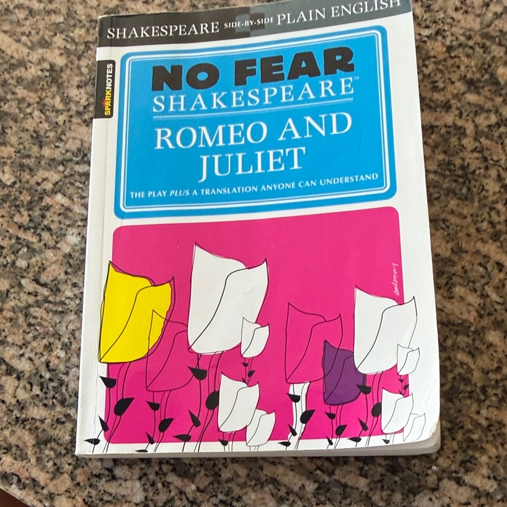 No Fear Shakespeare: Romeo and Juliet — Bright Pink Accent Paperback